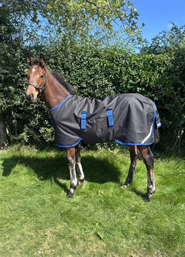 Amigo Føldækken 900D - 50 G. - Black/Classic Blue 